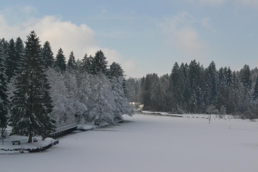 Hotel Waldsee Lindenberg im Allgau Exterior photo