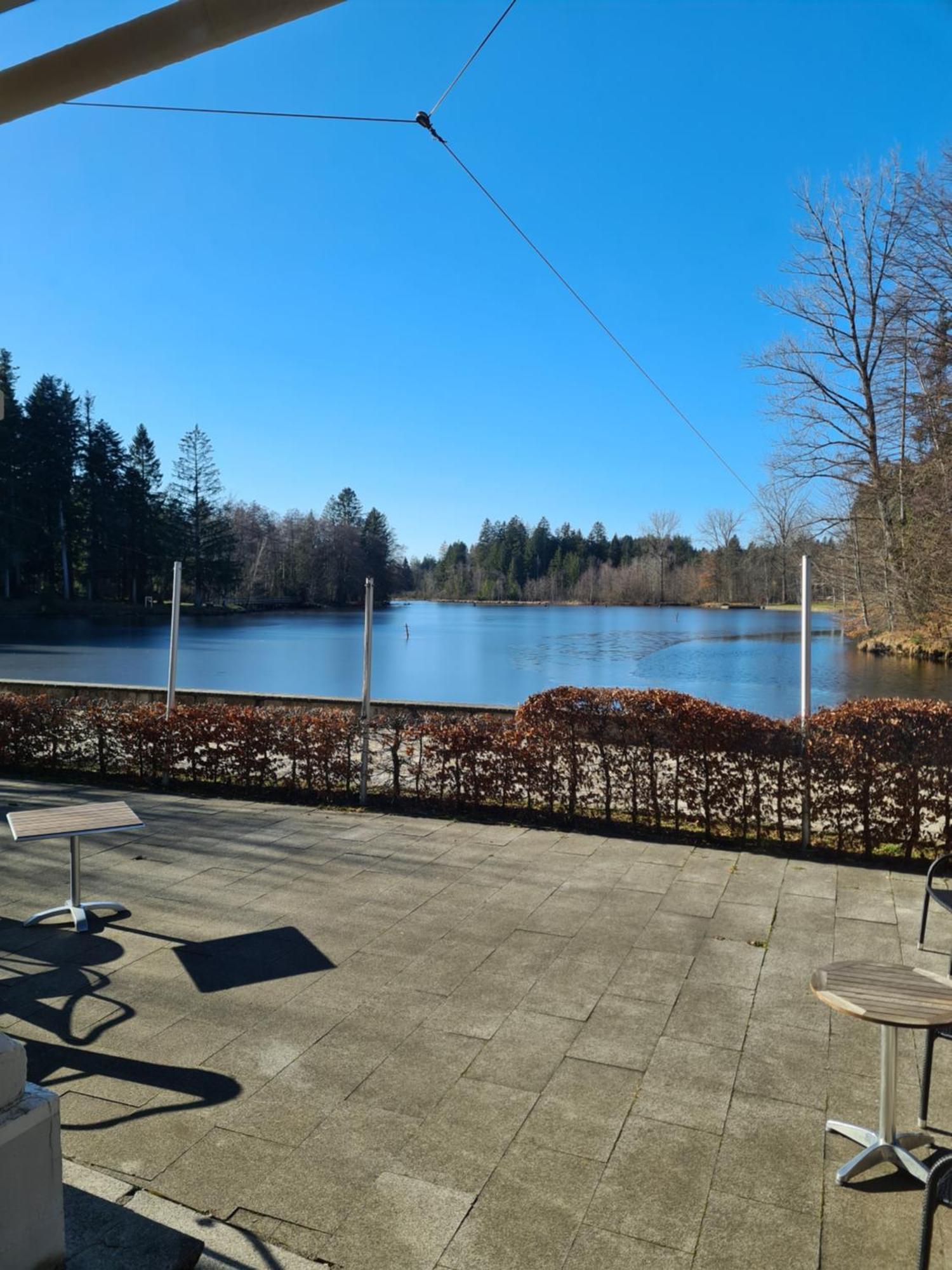 Hotel Waldsee Lindenberg im Allgau Exterior photo