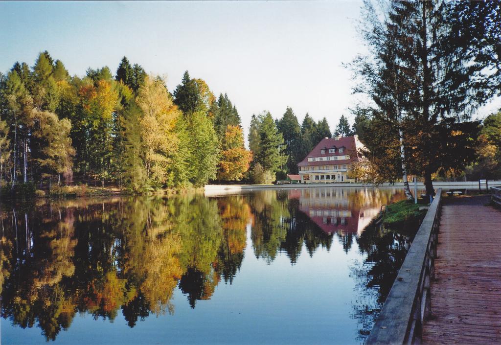 Hotel Waldsee Lindenberg im Allgau Exterior photo